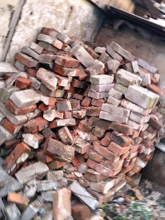 Отдам курпич  только воскресенье