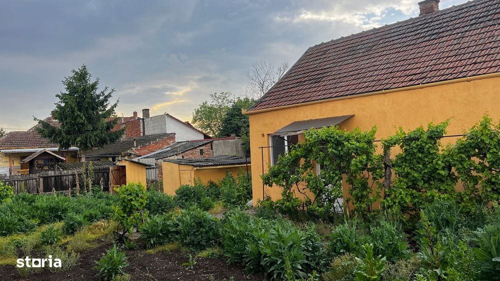 Casa modesta cu teren in zona Jysk Carei