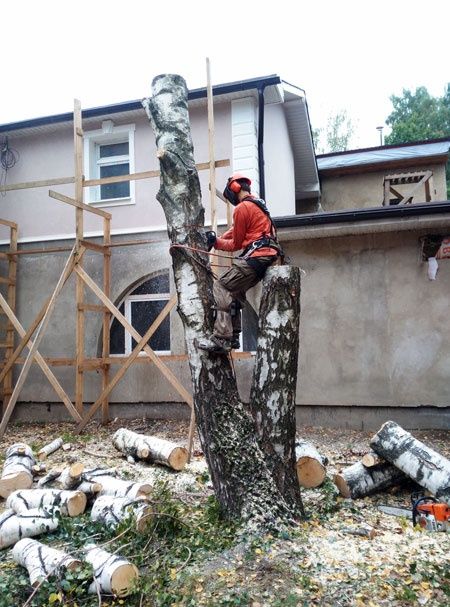 Спил деревьев любой сложности