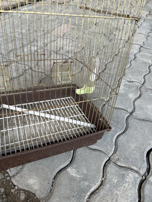 Продам Птичью клетка