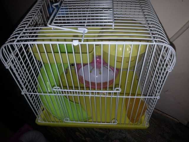 Хомяк и новая клетка  алматы