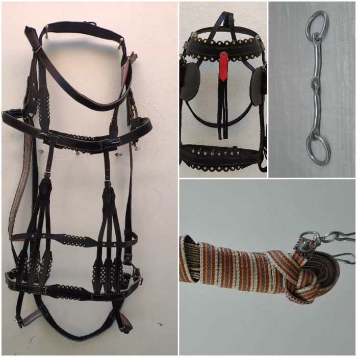 set-global CAL | ham + capici + zabala + haturi ⟣GARANTIE ⁴⁸