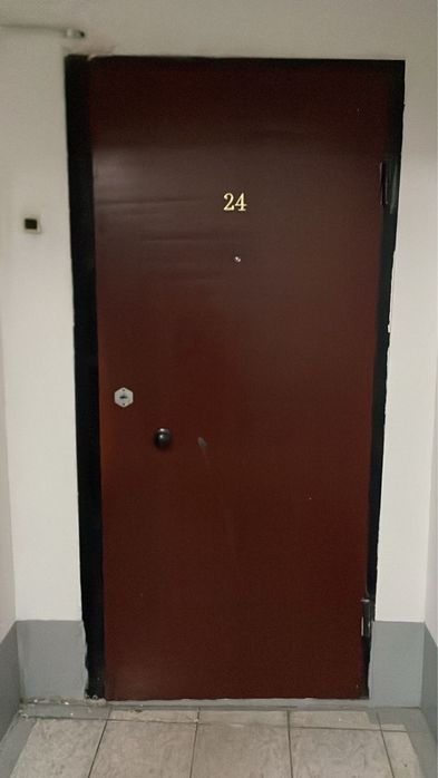 Железная входная дверь