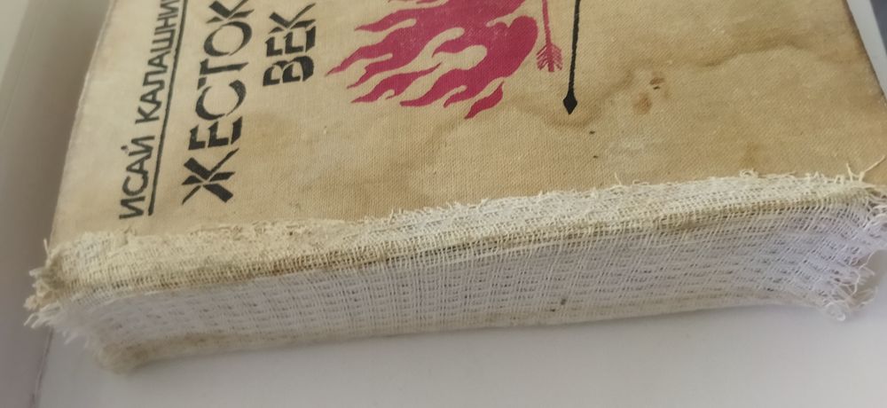 Жестокий век книга..