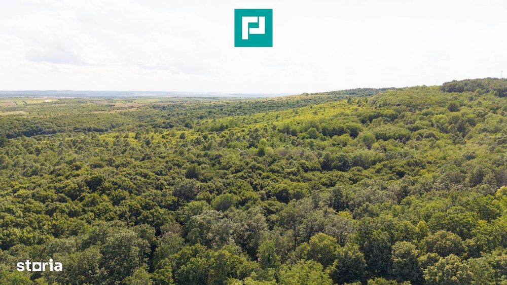 Teren Agricol Extravilan  22.900 Mp Lipova