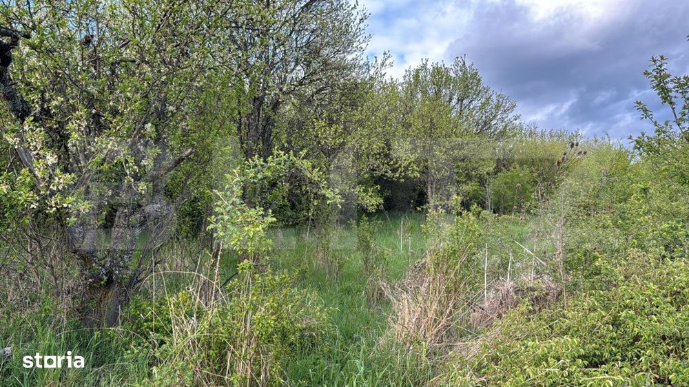 Teren extravilan de vanzare, 2.670 mp, Bistrita