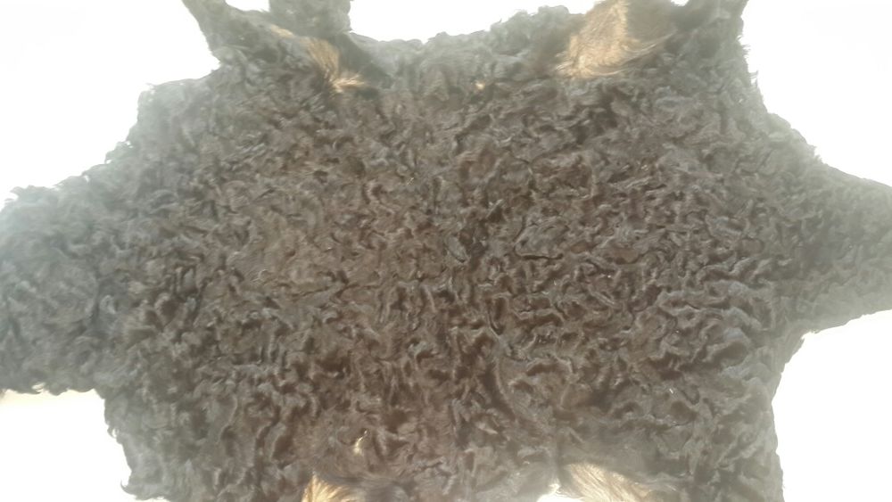 Каракуль. Мех. Шкурки.