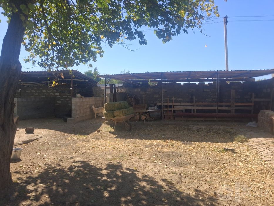 10 sotiq dacha sotiladi naxi 25000 yana kelishiladi