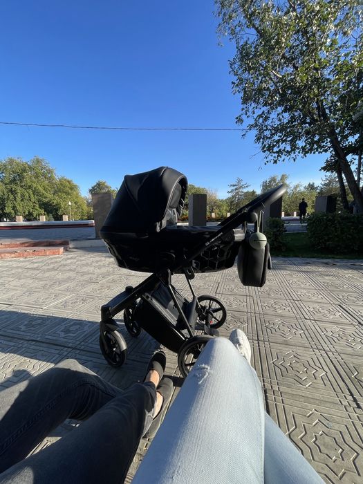 Коляска Adamex Paola 2в1