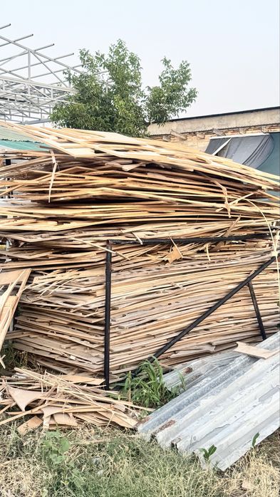 Бесплатно отын тегін