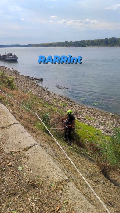 Професионална грижа за дървета, Арборист