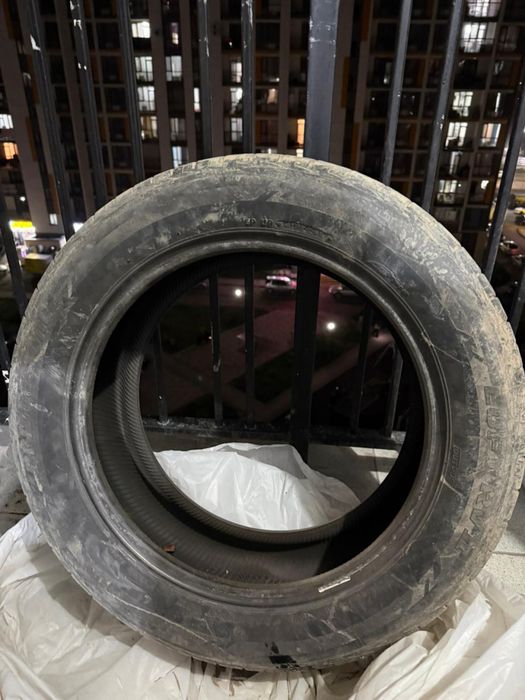 Балон лето 225/55R17