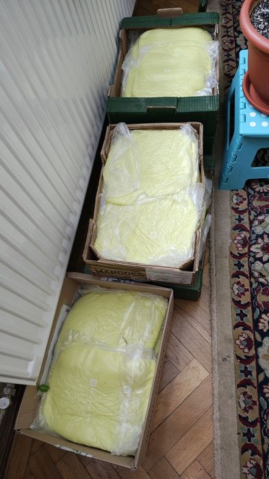 Vând  familii albine.