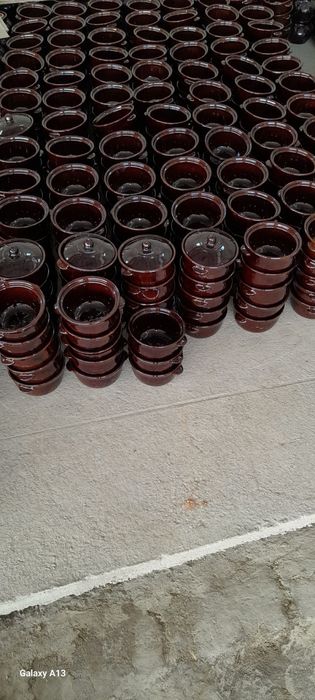 Kuza sho’rva uchun optim kuzalar