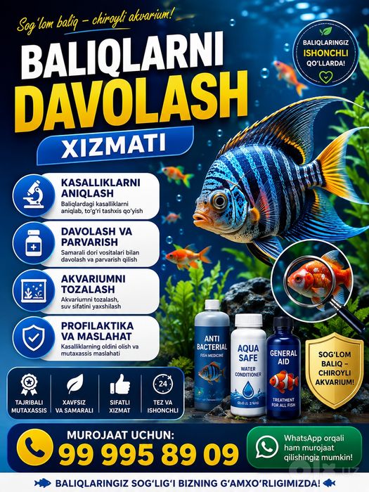Baliqlarni davolash xizmati