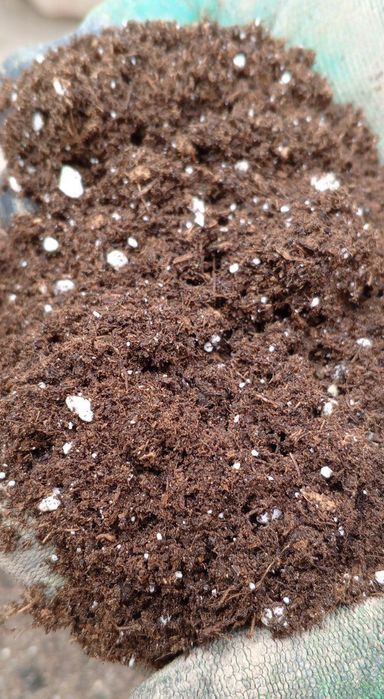 Грунт торфяной питательный Двина. Идеальный грунт для посадки цветов.