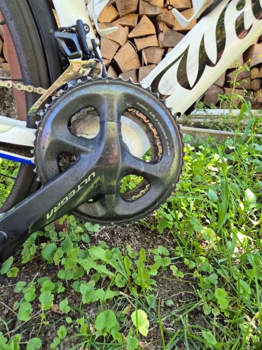 Cursiera Wilier Triestina