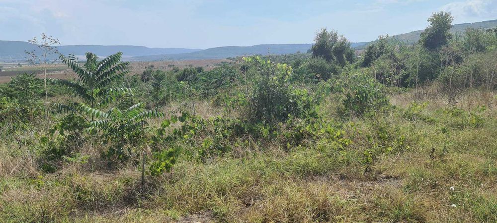 Продава се Парцел в с. Рогачево, Област Добрич - 1400 кв.м за 38 €/кв.м - Снимка #3