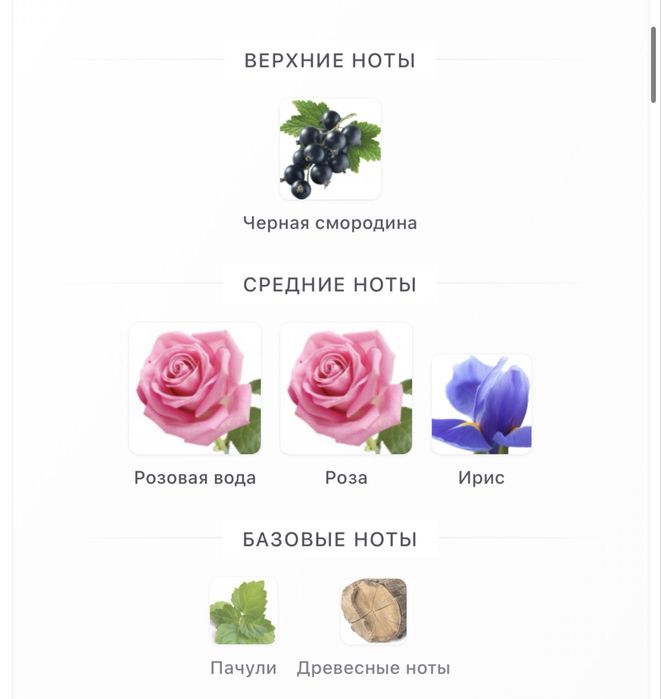 Парфюм Givenchy Rose Velvet