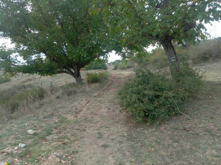 Продава се Земеделски имот в с. Змейово, Област Стара Загора -  кв.м за 5236 €/дка - Снимка #7