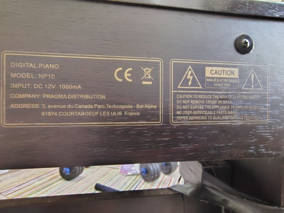 Orga Pianina DELSON NP10