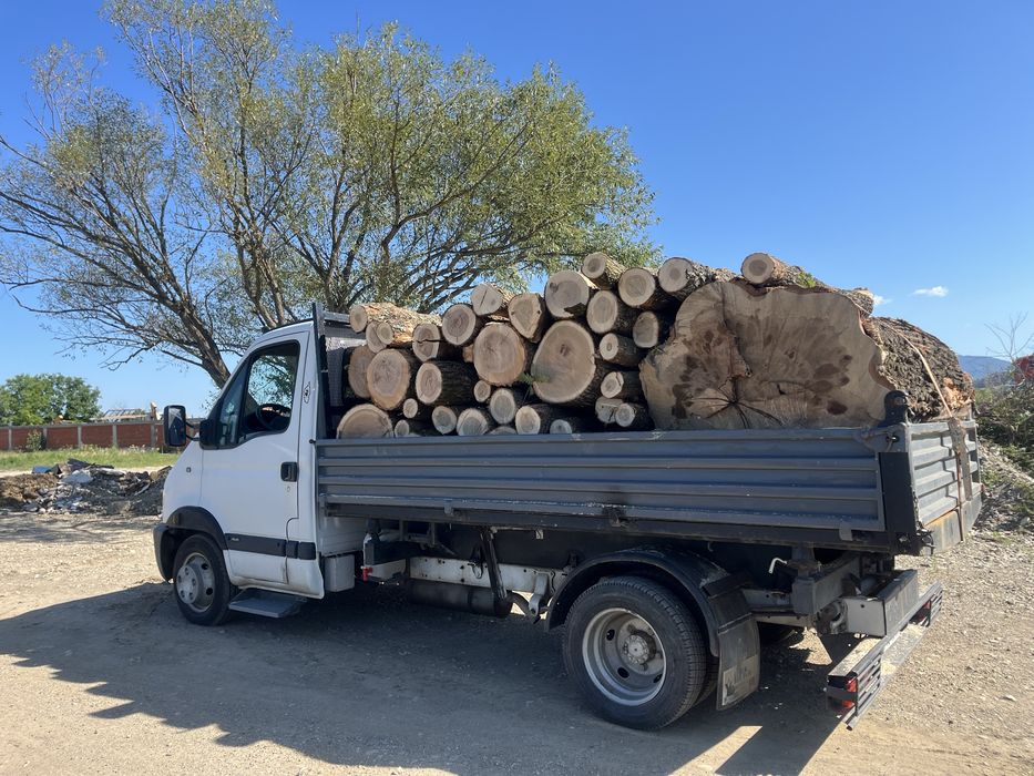 Lemne de foc esență tare ( fag, cer, gorun, carpen)