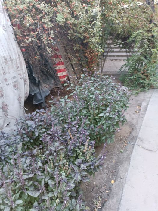 Продается дом возле вокзала