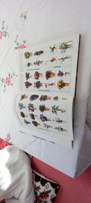 Стайни растения-книга