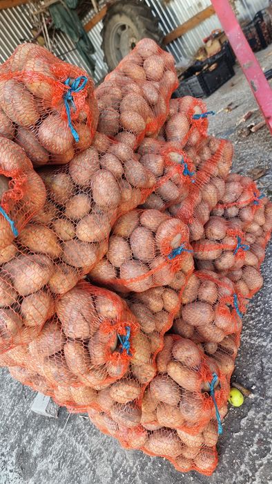 Vând cereale producție 2025