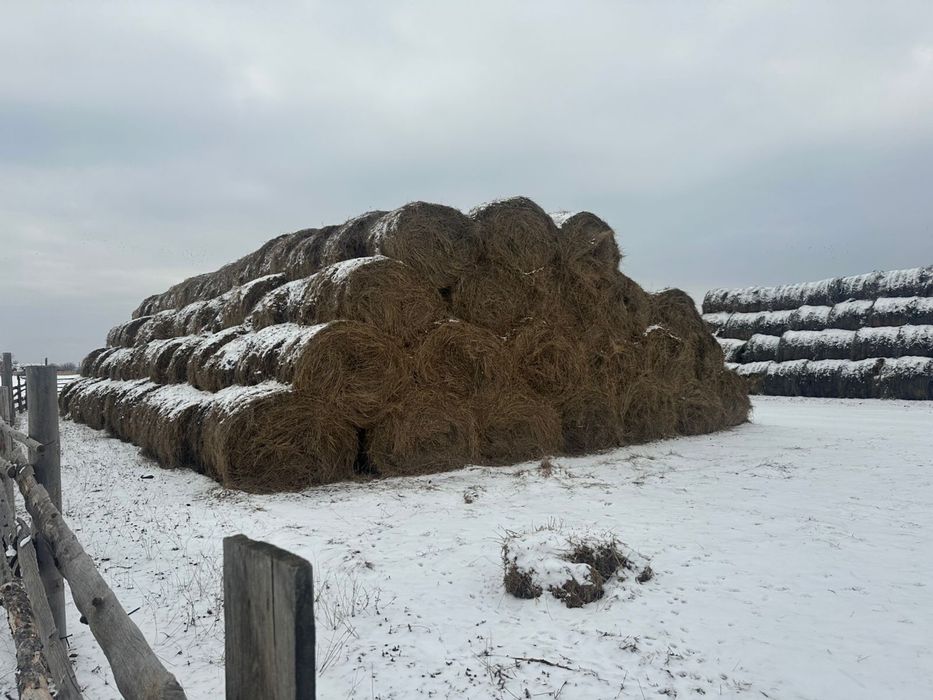 Продам сено рулонами