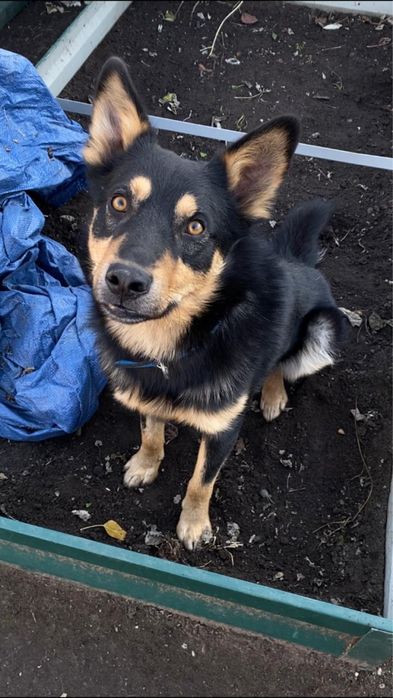 Мальчик ищет дом