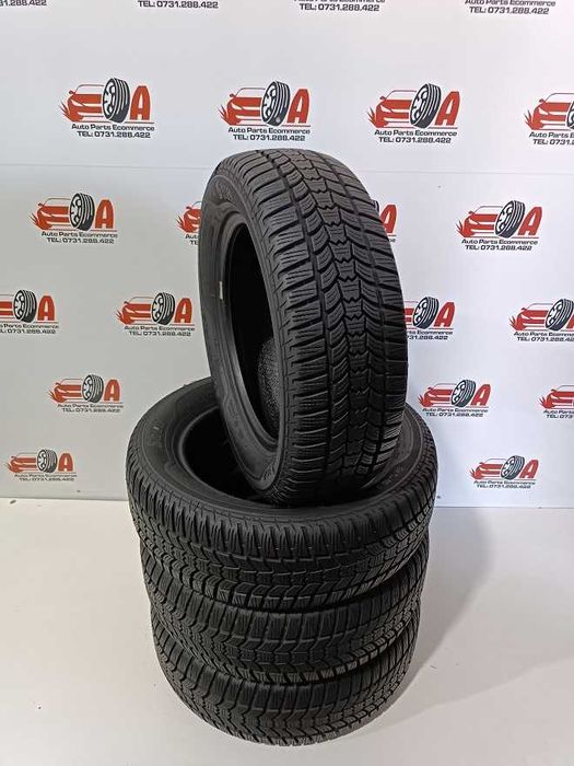 205/60/16 96H SAVA CP N10669 M+S