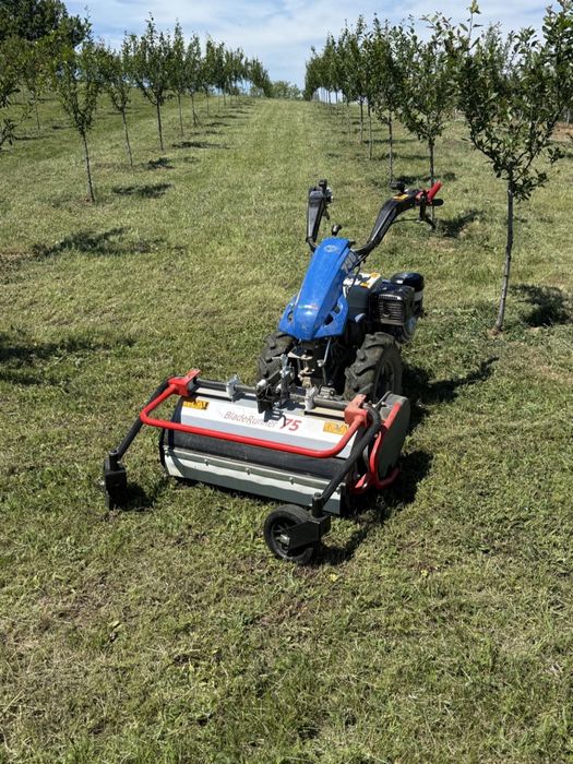 Oferim servicii de cosit si intretinere spatii verzi