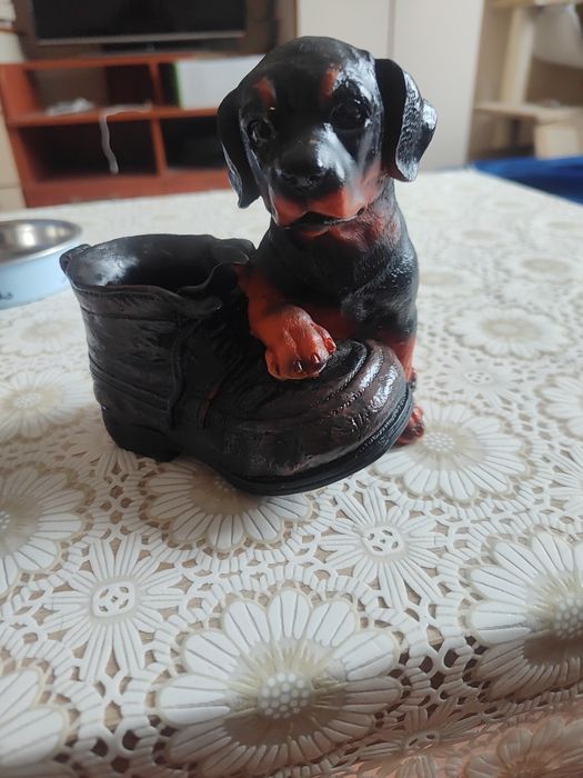 Касичка - Куче и обувка.