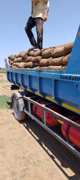 Kamaz klines sheben kompot qum oluga tosh клинец кампот shagal
