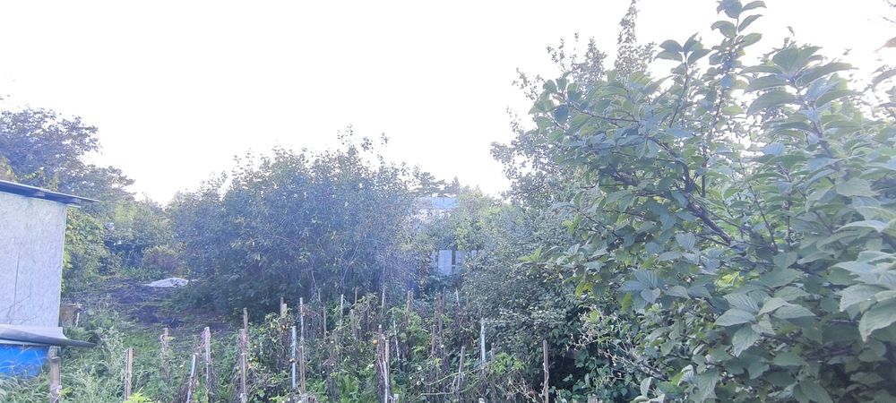 Продам дом с. Бесколь