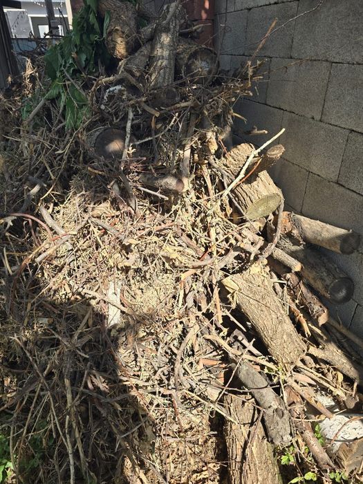 Продам дрова дуб