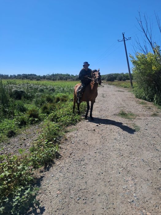 Жуас, Мінгі Бие.