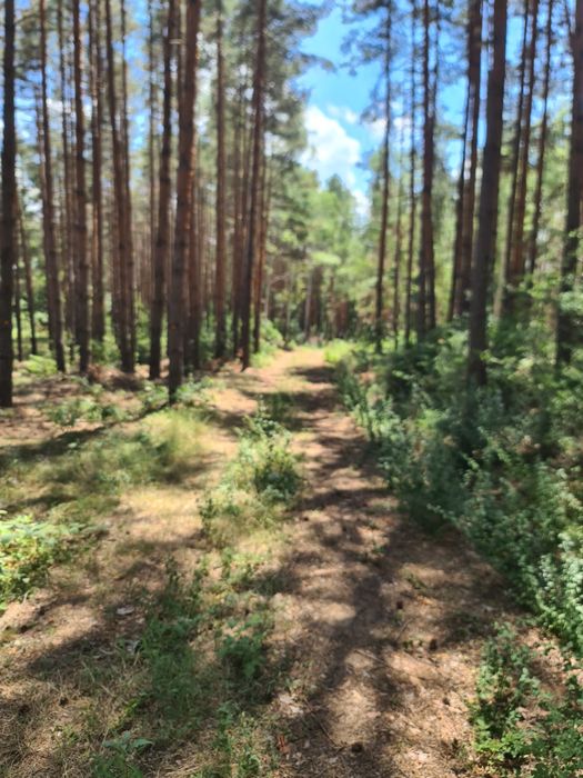 Продава се Парцел в Казанлък - 6200 кв.м за 10 €/кв.м - Снимка #9