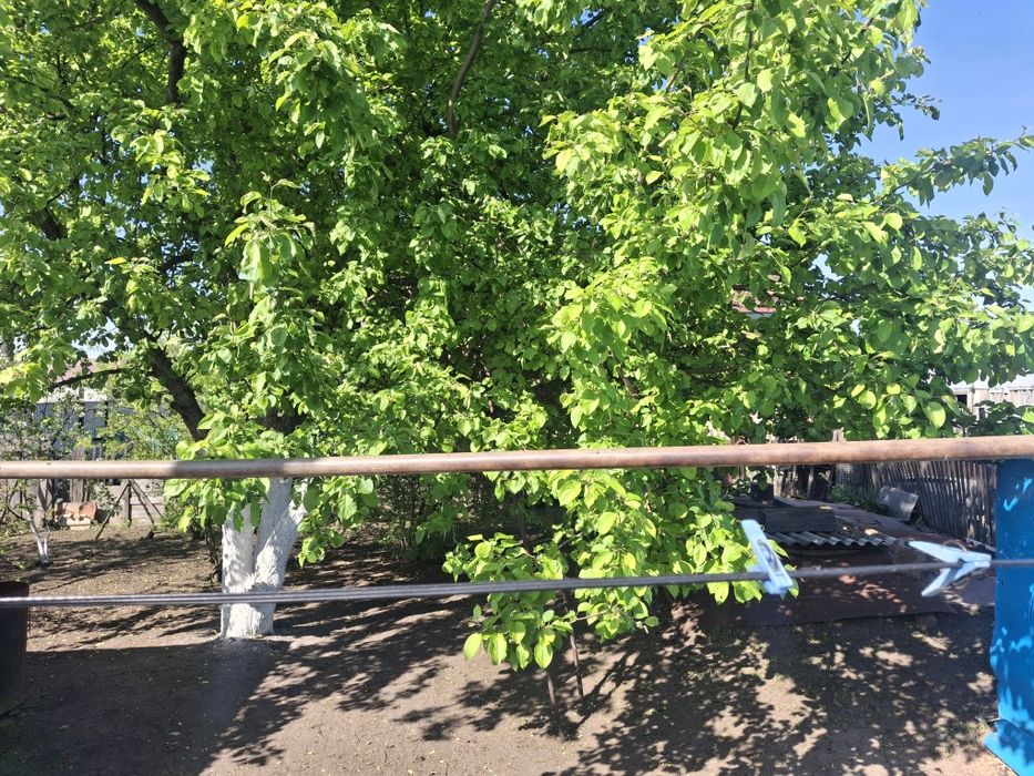 Дом площадью 83м2