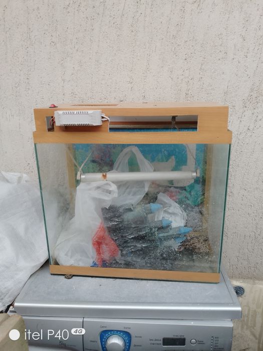 Аквариум для дома