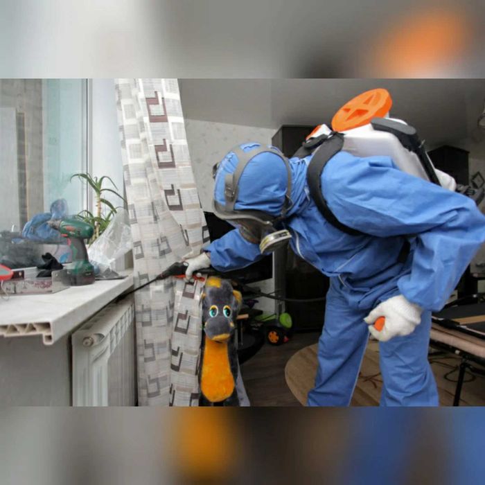 У нас реальная гарантия. дезинфекция, дезинсекция. Без запаха.