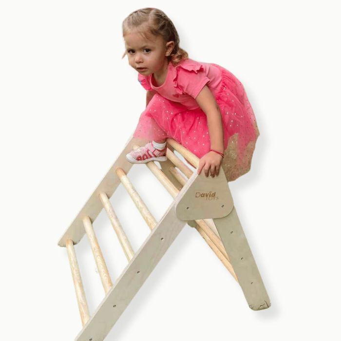 Триъгълник пиклер David toys