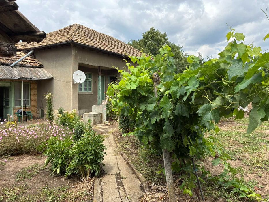 Две жилищни сгради с двор 1 295 кв.м. – само на 10 км от Попово