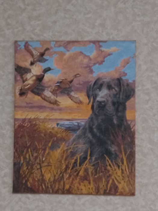 Продам картины красивые яркие