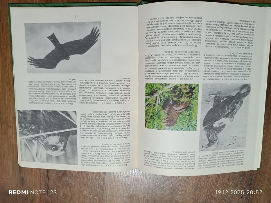 Книга.Животный мир Узбекистан а