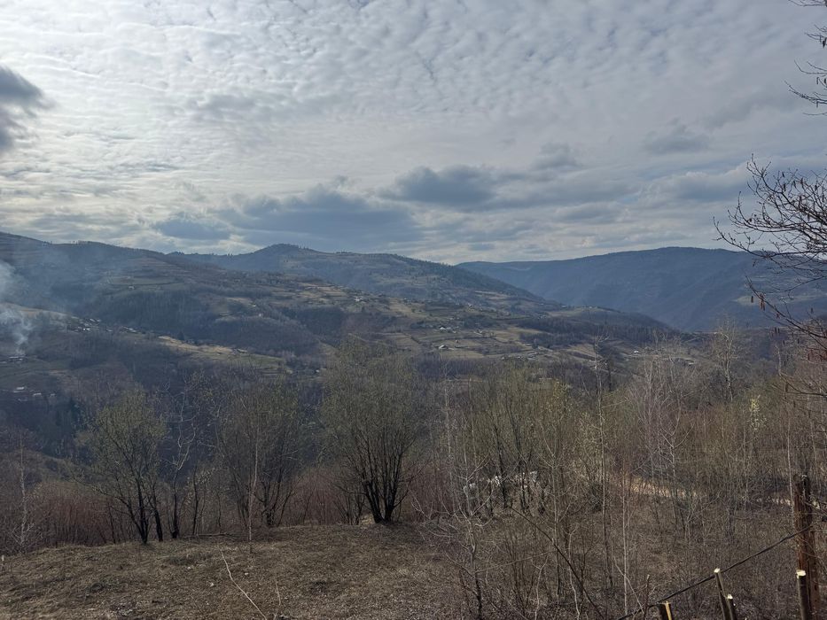 Teren Muntele Rece, ideal pentru cabana, zonă frumoasă, acces ușor