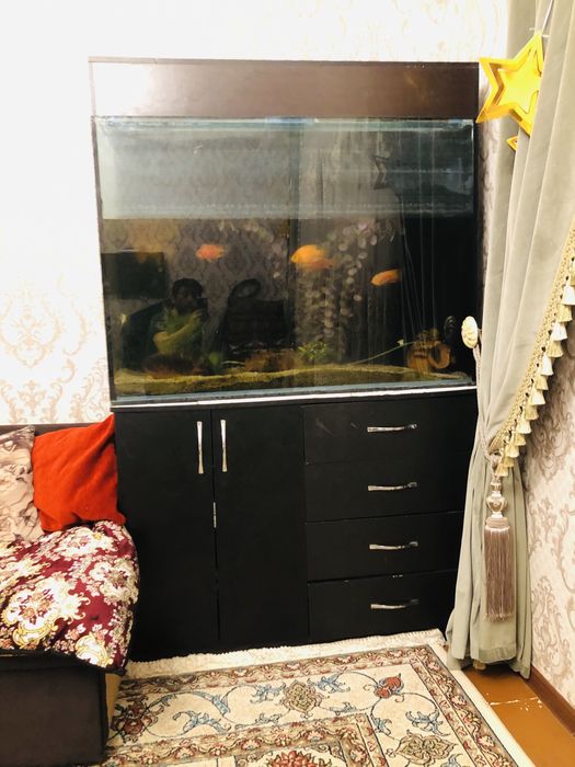 Akvarium sotiladi 500 lt