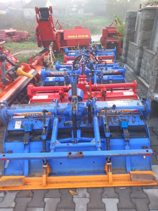 Freze de pământ japoneze aduse recent im țara