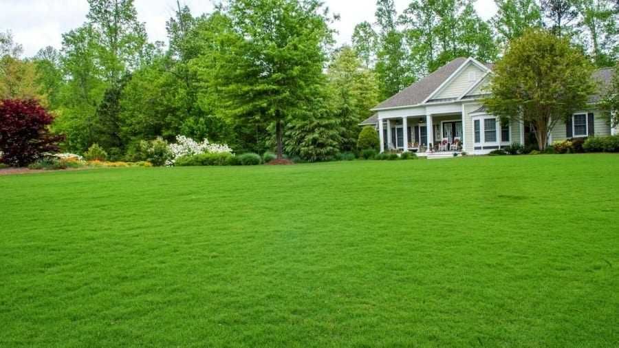 Парцел в регулация - гр. Нови Пазар